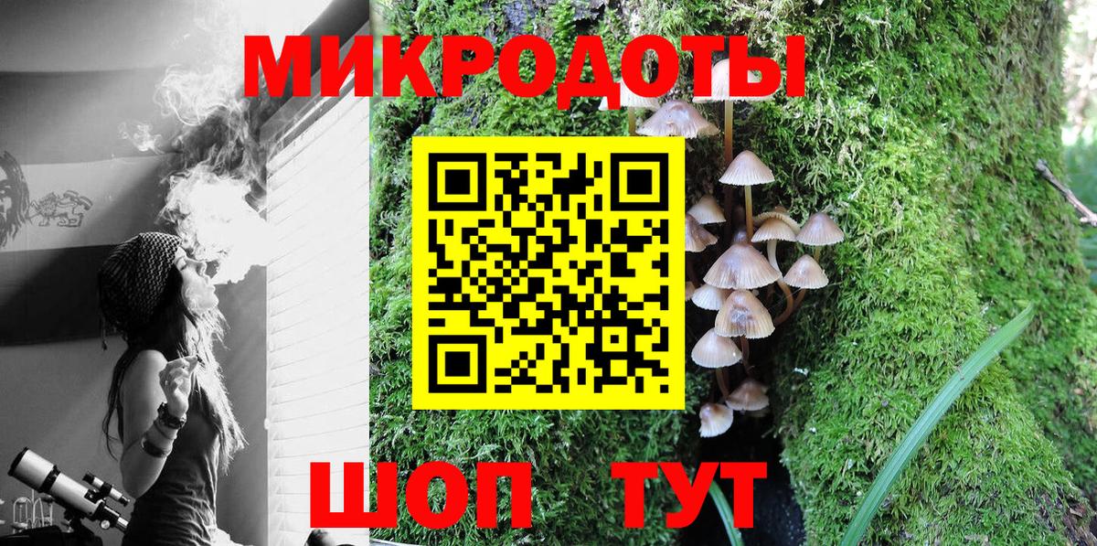 Курган  Псилоцибиновые грибы Psilocybine cubensis  Вход с VPN 